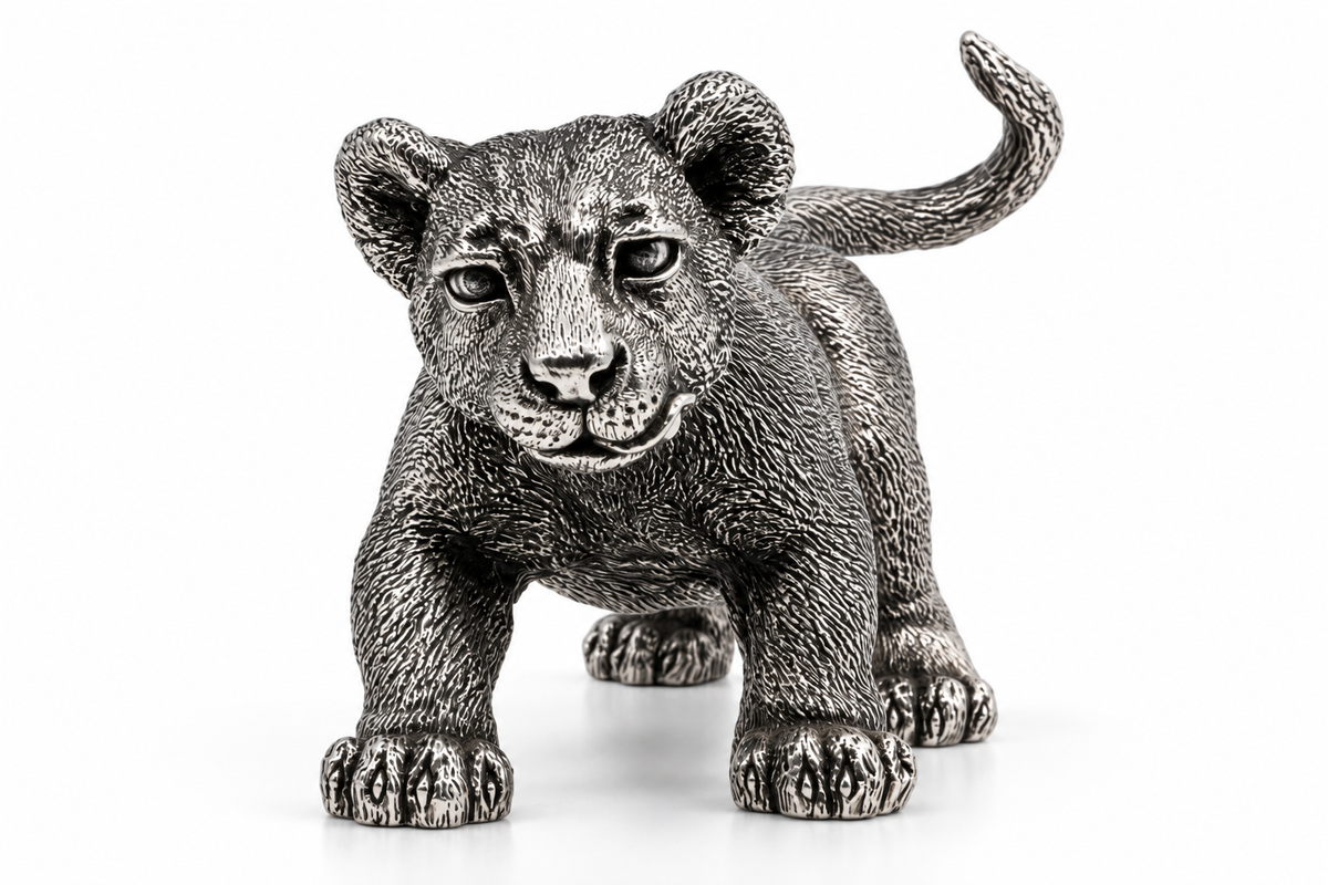 Cub's First Steps