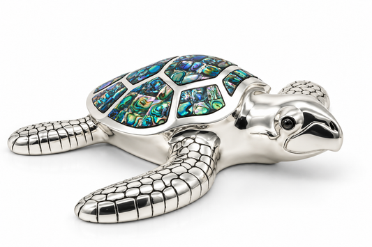 Abalone Sea Turtle