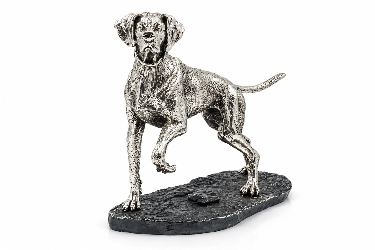 Loyal Pointer