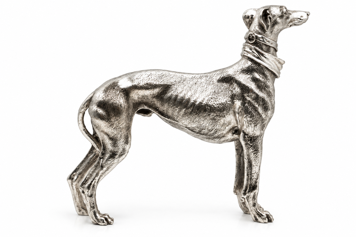 Elegant Greyhound
