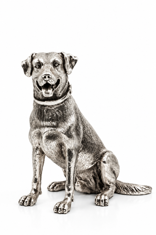 Labrador's Smile