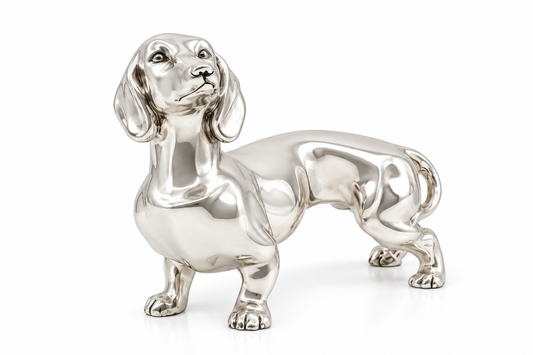Dachshund's Elegance