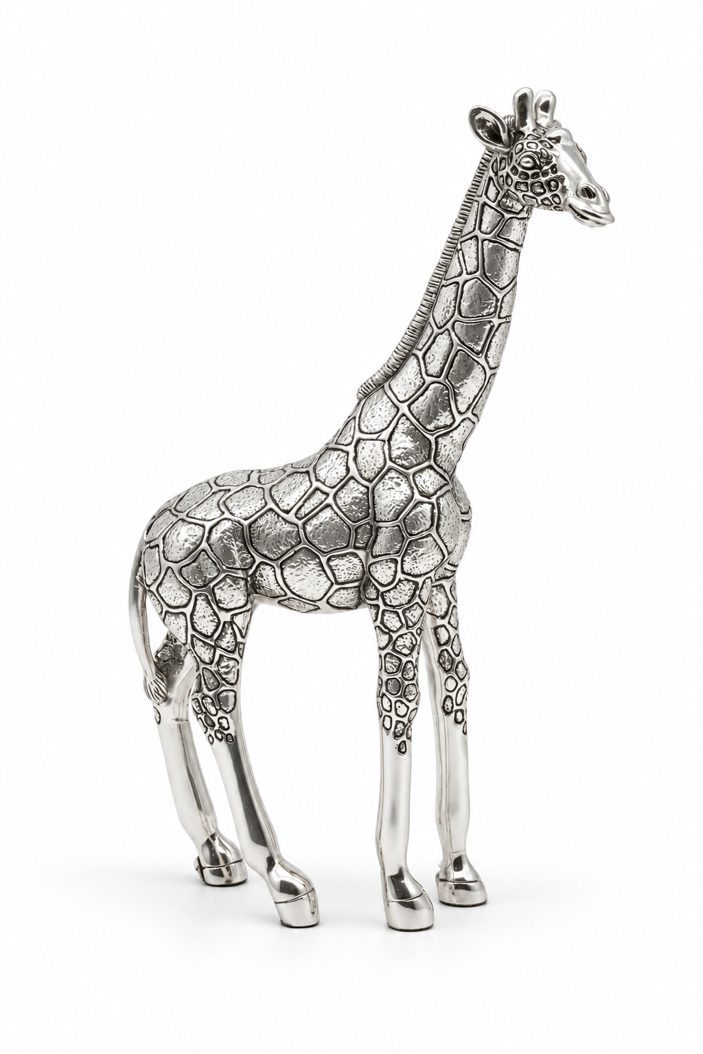 Gentle Giraffe